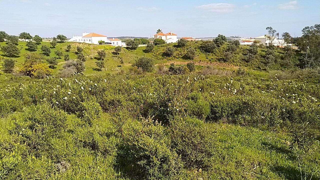 קסטרו מארים Guesthouse Monte Francisco Baanswy - 3 Quartos - Piscina Privada מראה חיצוני תמונה