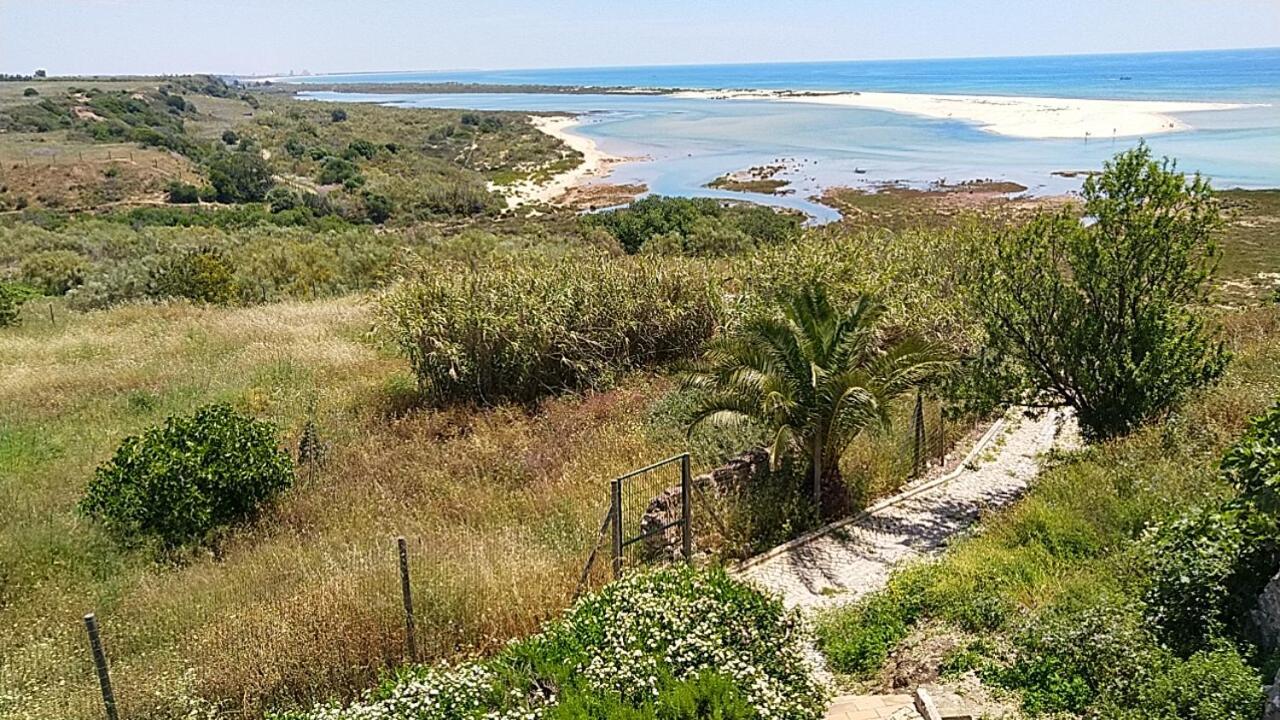 קסטרו מארים Guesthouse Monte Francisco Baanswy - 3 Quartos - Piscina Privada מראה חיצוני תמונה
